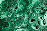 Flowery Polished Malachite Slab - DR Congo #360772-1